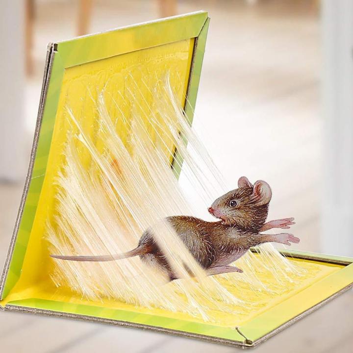 Rat Trap